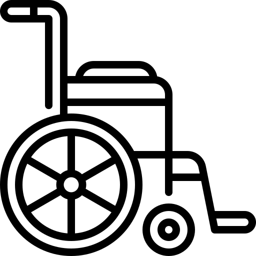 Wheelchair Assistance